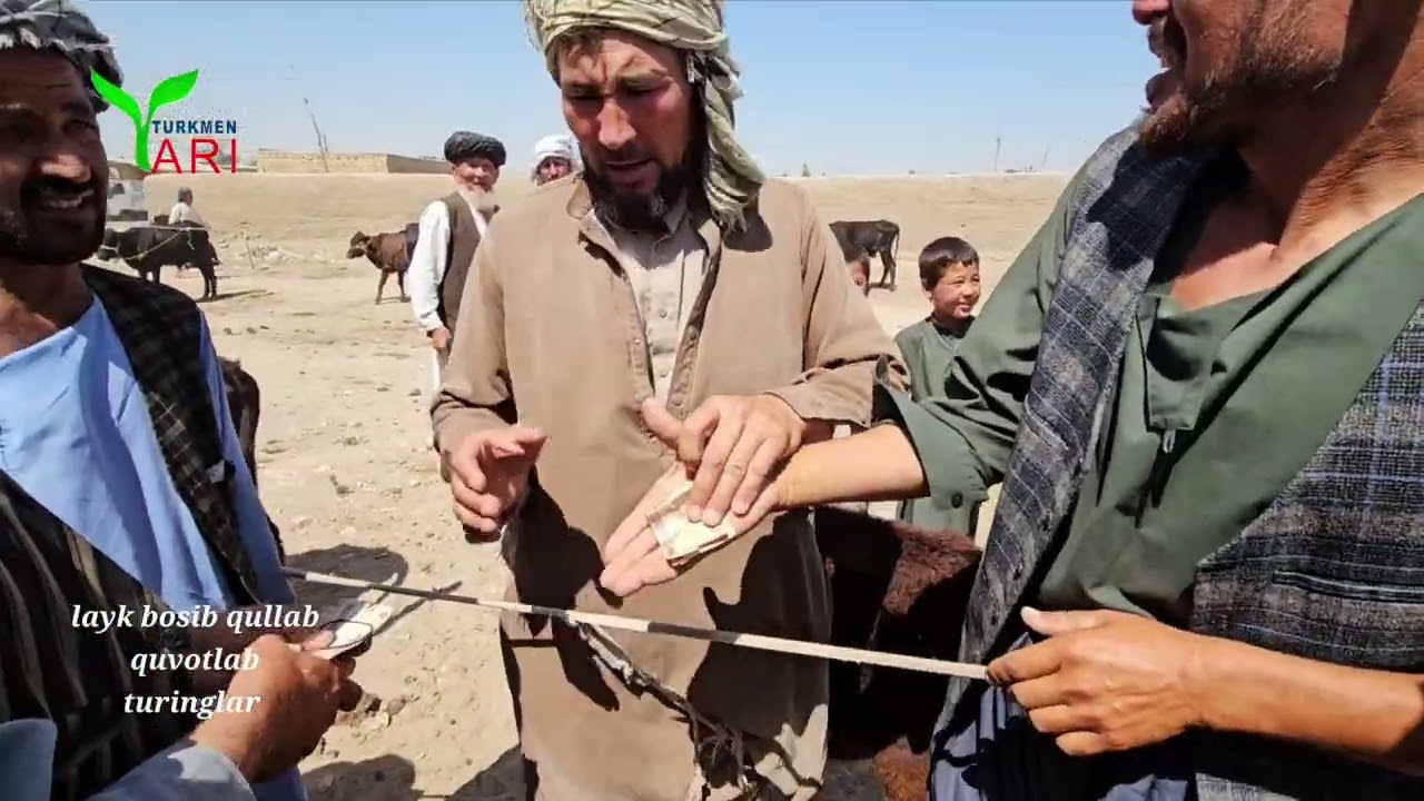 Afg'onistoning mol bozori qurbonlik olish uchin odam lar yulga tushgan بازار ولسوالی شورتپه تاشگذر