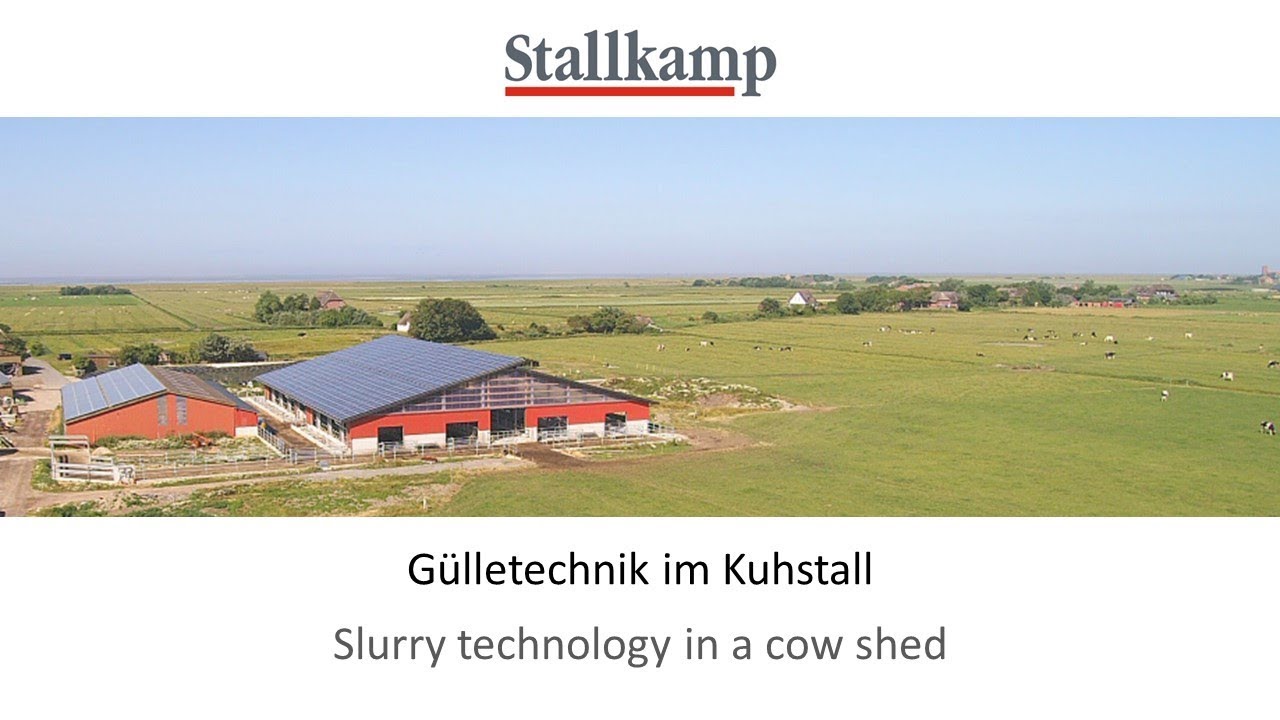 Stallkamp Gülletechnik im Kuhstall