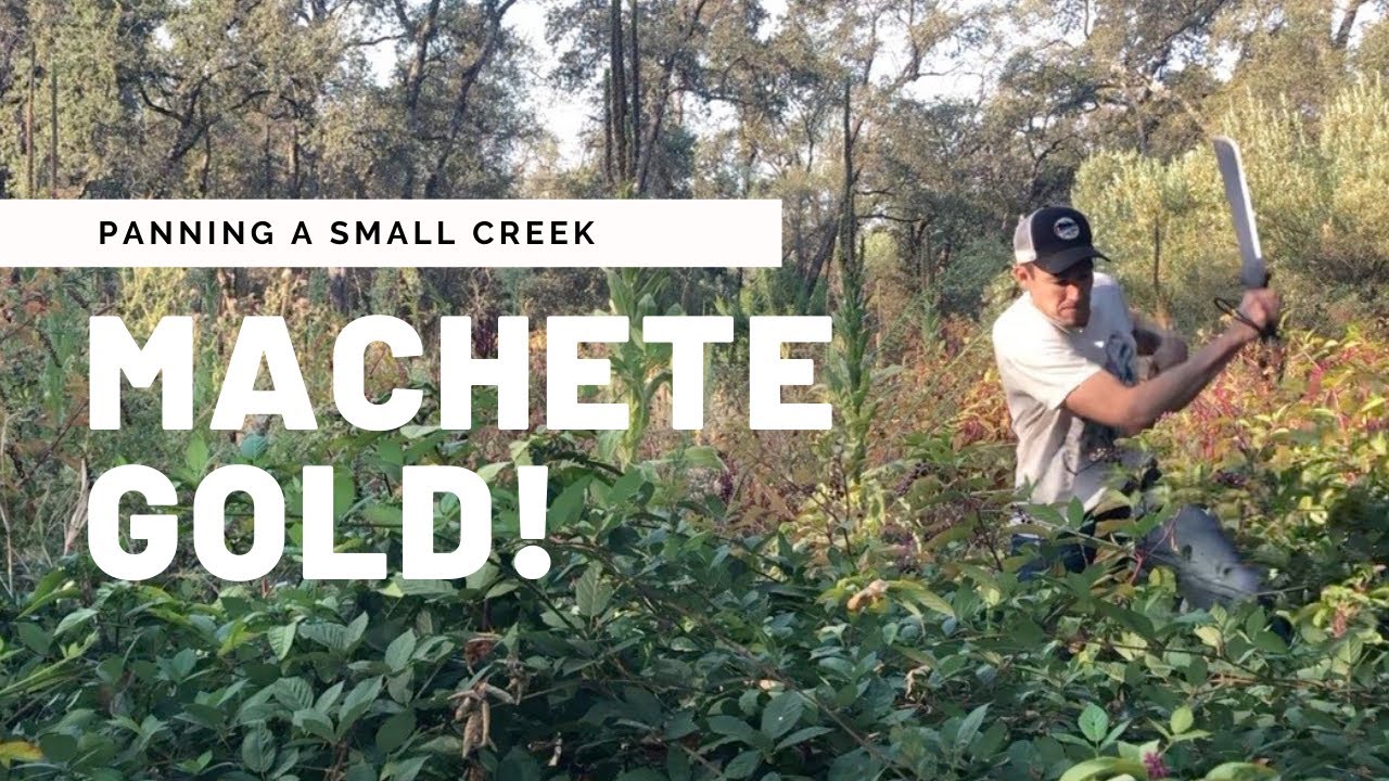 Machete Gold! Panning for gold in a rich, overgrown creek.