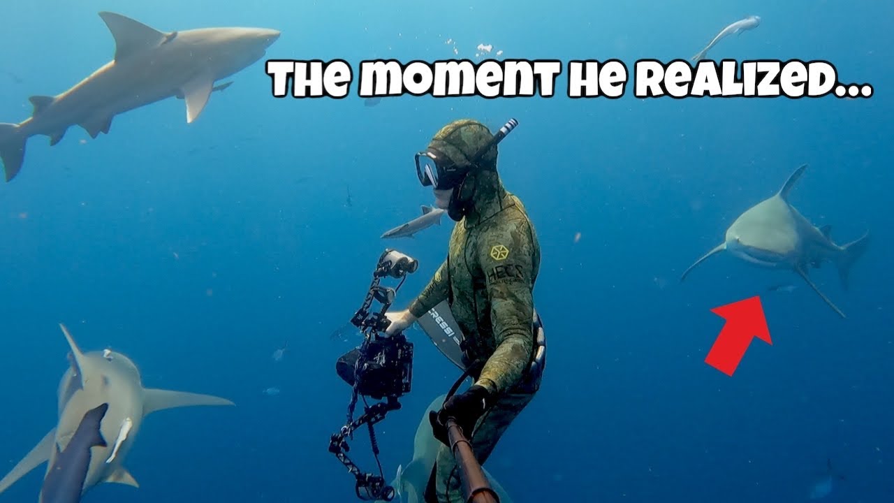 Solo freediver is absolutely SURROUNDED by bull sharks