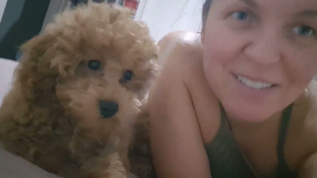 Дюк❤️ Тойчик🐶❤️ 