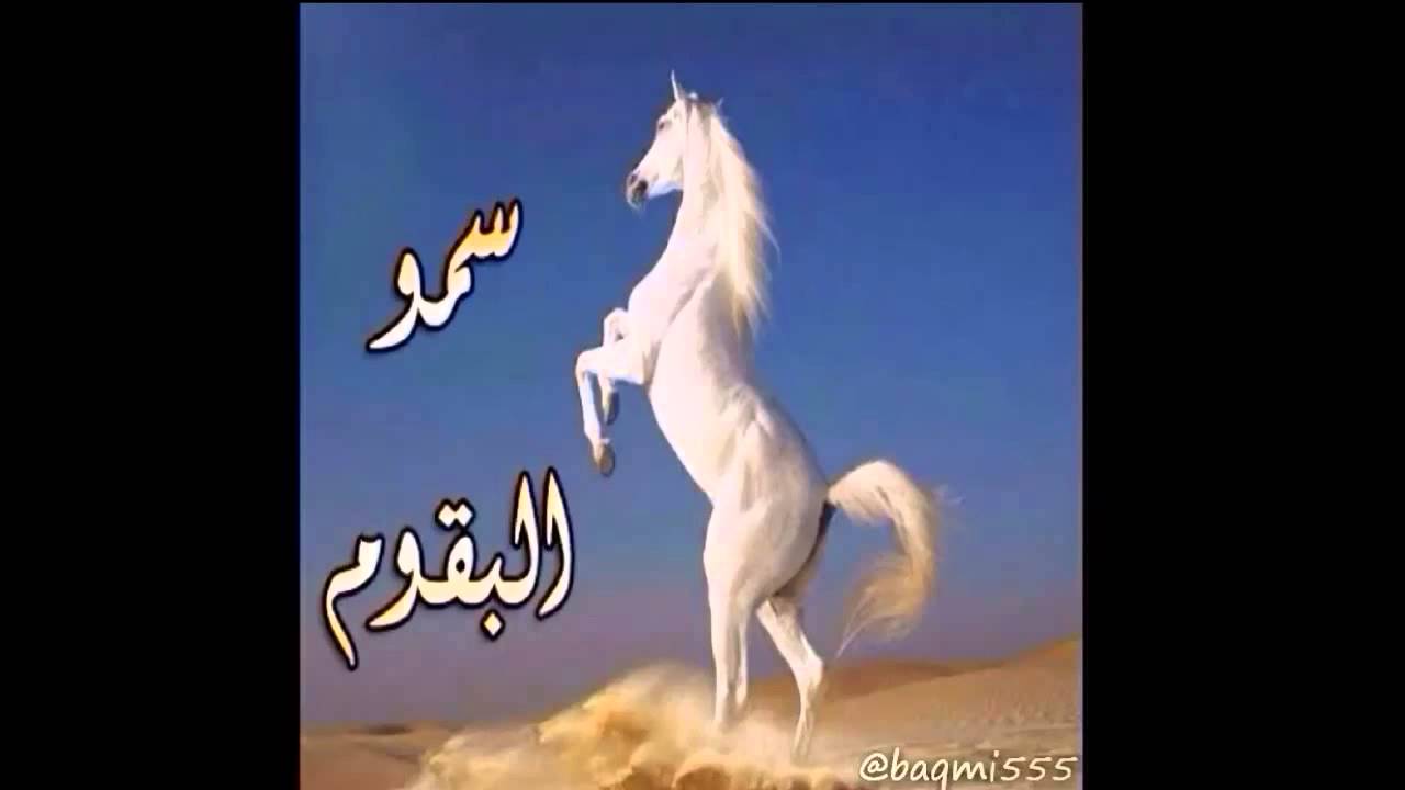 سمو البقوم - أداء عايد الطشل