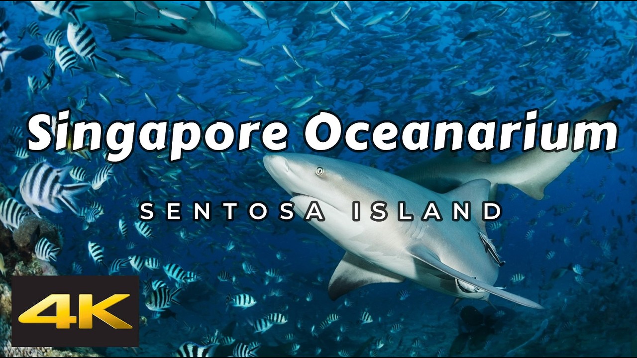 Singapore Oceanarium 2026