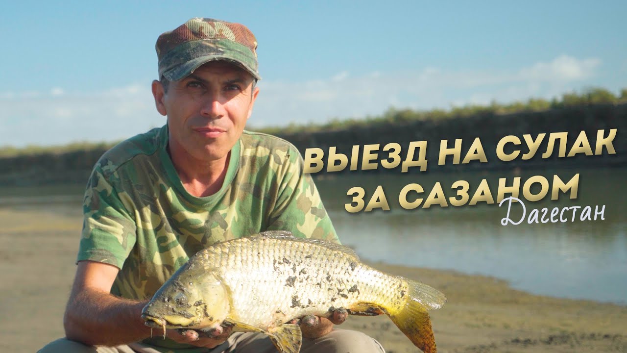 Выезд на Сулак с ночёвкой на сазана. Дагестан.