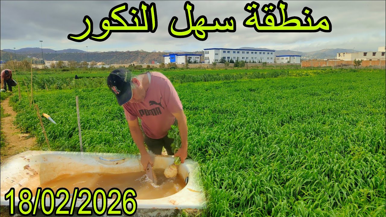 منسوب المياه بسهل النكور بعد أمطار الخير التي عرفتها منطقة الريف 