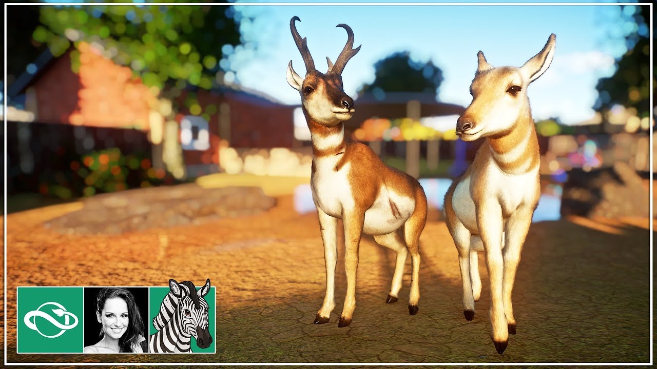 🦓 Let's build a zoo | Pronghorn | Let's play Planet Zoo Franchise Mode | BETA | Gameplay | #1