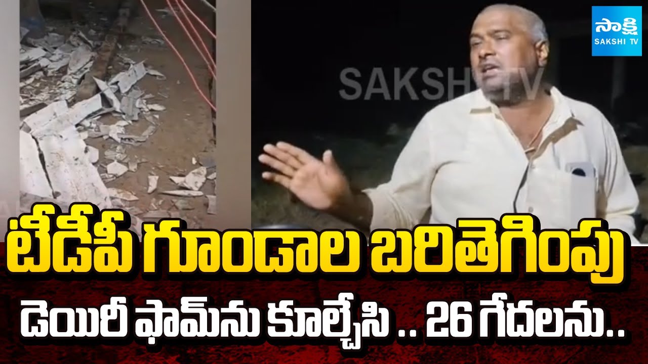 TDP Leaders Rowdyism in Mangalagiri : Forcibly Demolished Dairy Farm | @SakshiTV