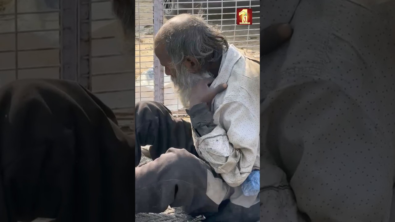 How DSS Volunteers Proved Humanity Still Exists!?