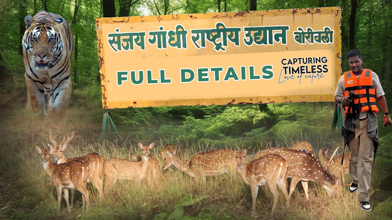 Sanjay Gandhi National Park Borivali in Mansoon