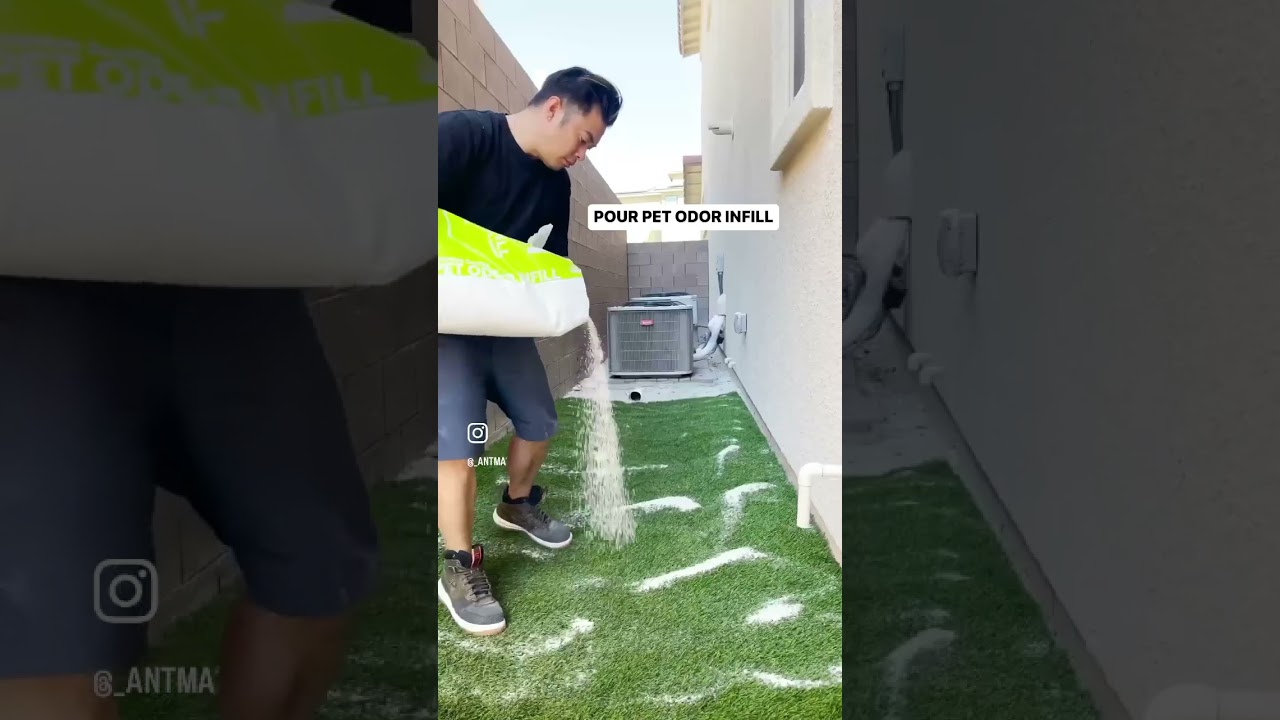 Easiest diy for my dog's dirty business