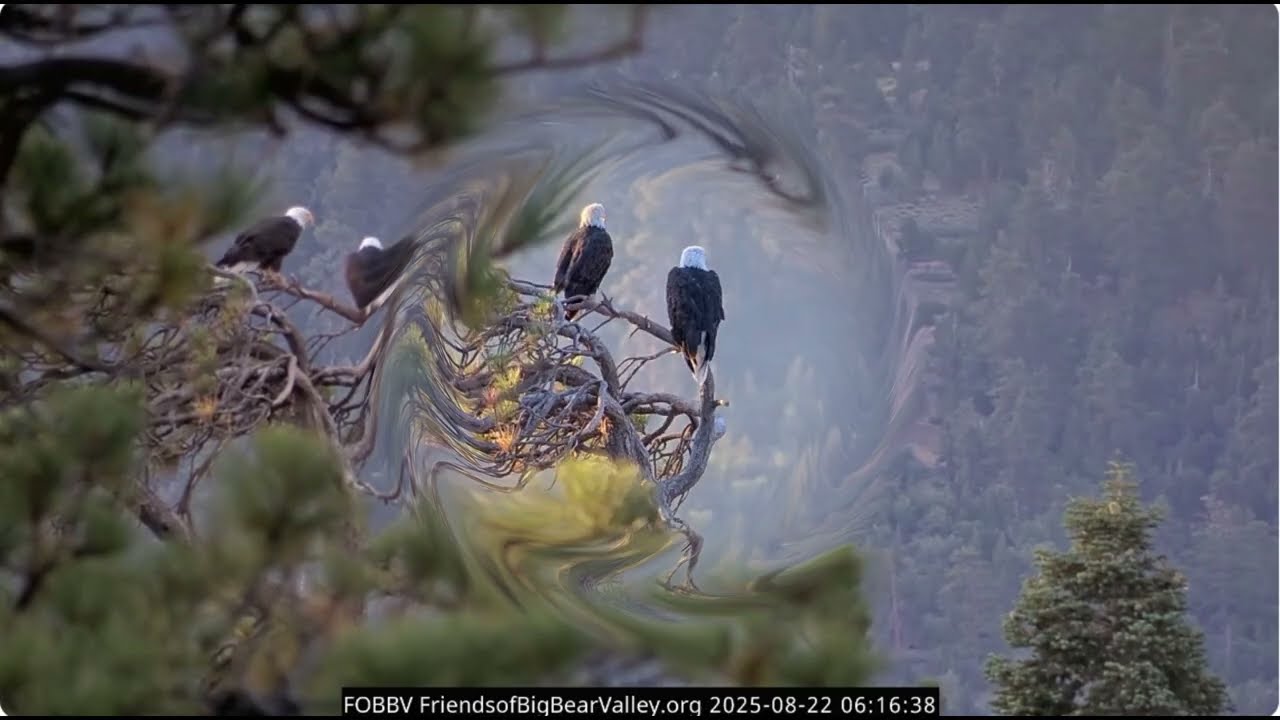 Big Bear Valley, August 22, 2025 @FOBBVCAM