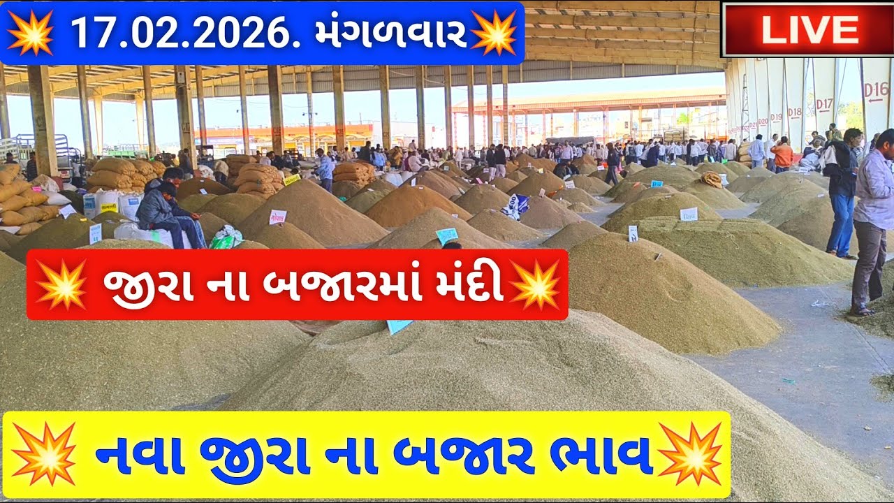 🔴live નવા જીરા ના બજાર ભાવ આજના જસદણ માર્કેટિંગ યાર્ડ, new cumin auction price,February 17, 2026