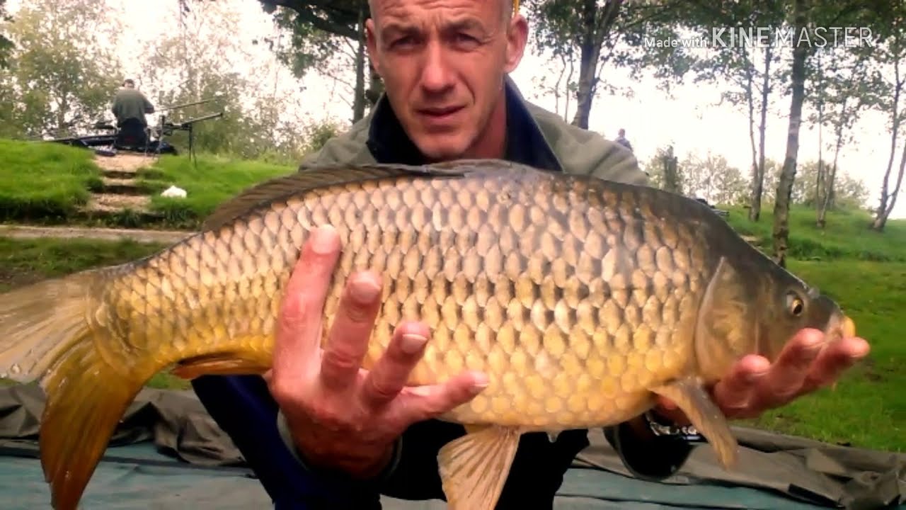 Carp fishing on Fan Lodge Wigan....Sept/2018