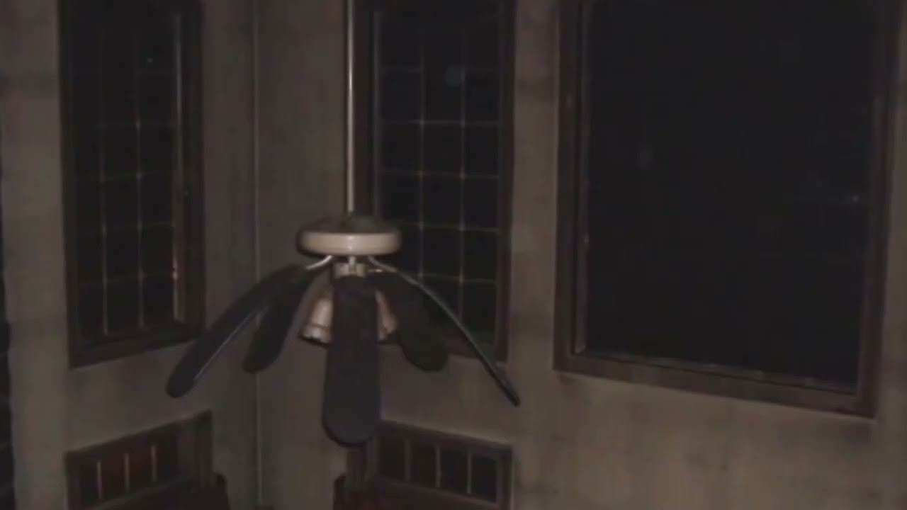 Very sad abuse, ceiling fans