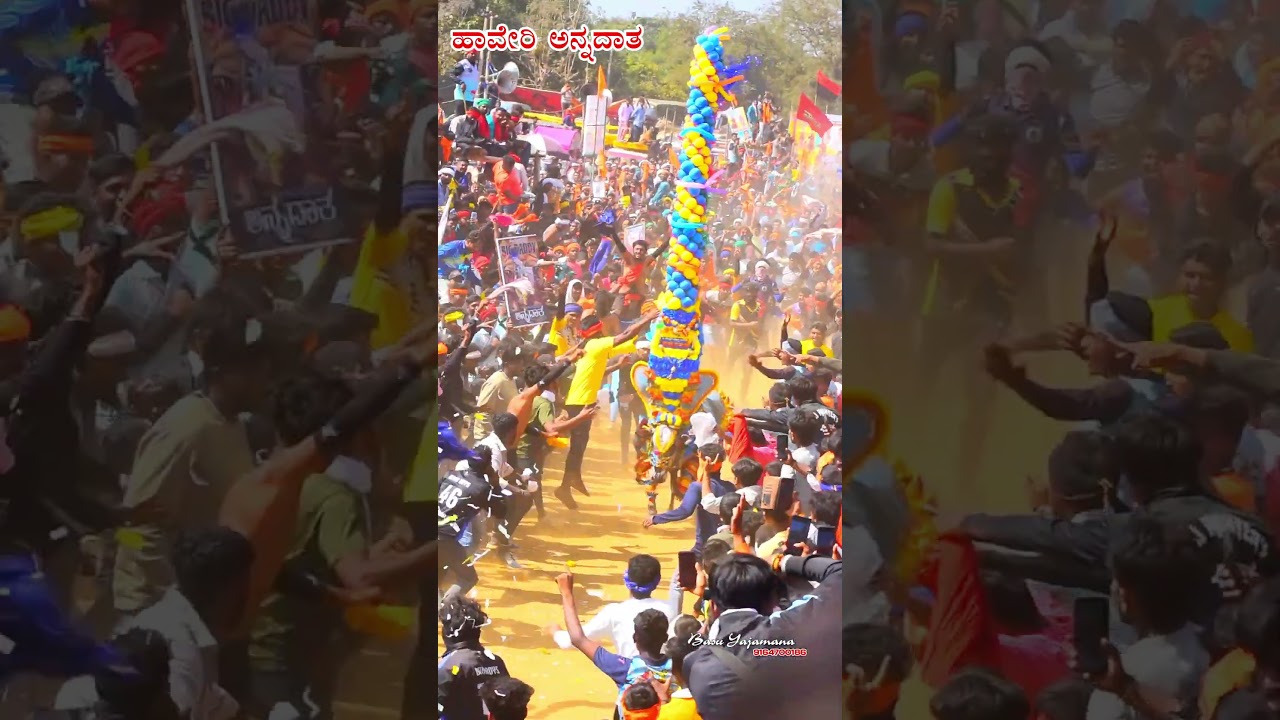 Haveri Annadata #horihabbadaabhimanigalu #horihabbathebullrace #haveri #bull #horihabba #krishna