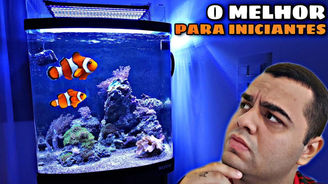 NÃO COMPRE UM PEIXE PALHAÇO SEM ANTES ASSISTIR ESSE VÍDEO