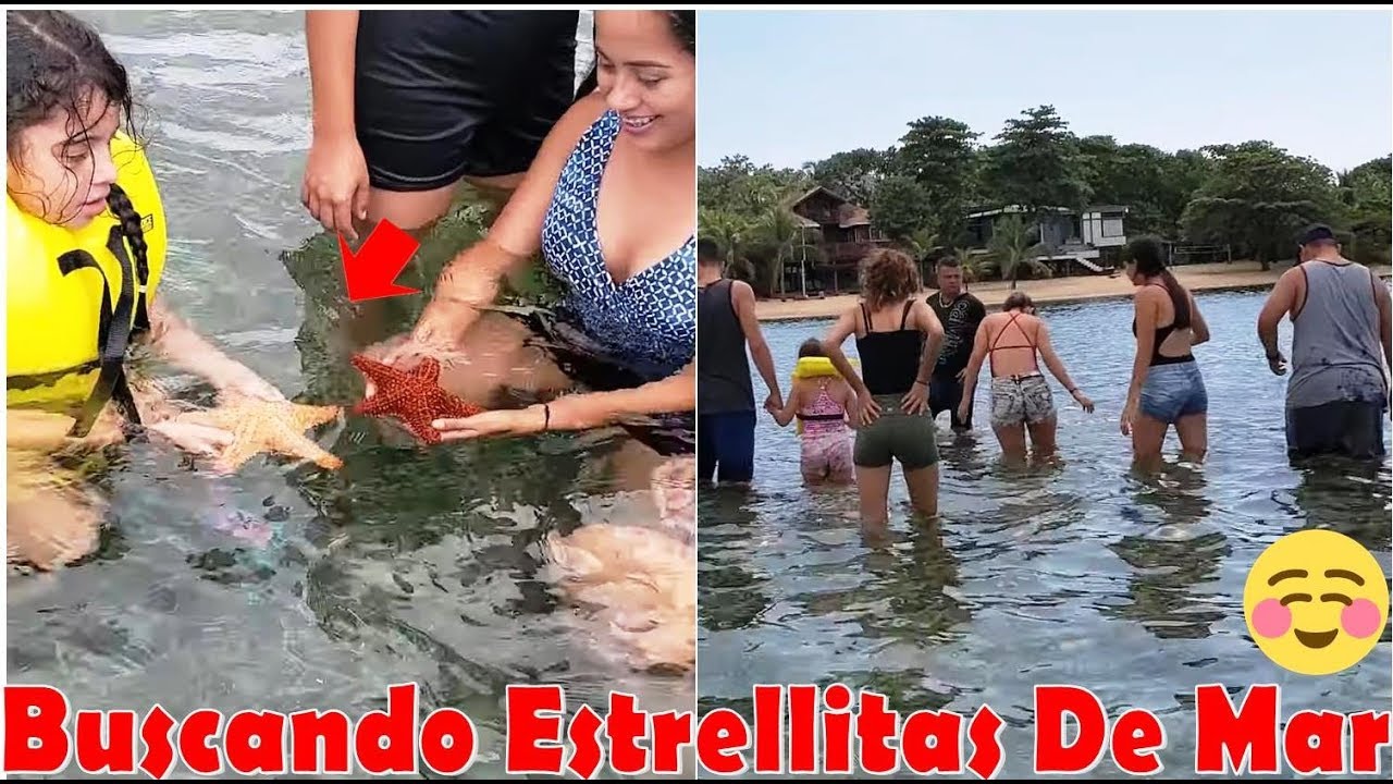 -Nos Bajamos De La Lancha Para Buscar Estrellitas De Mar❤Wow Encontramos 2 Estrellas⭐Que Emocion-P28