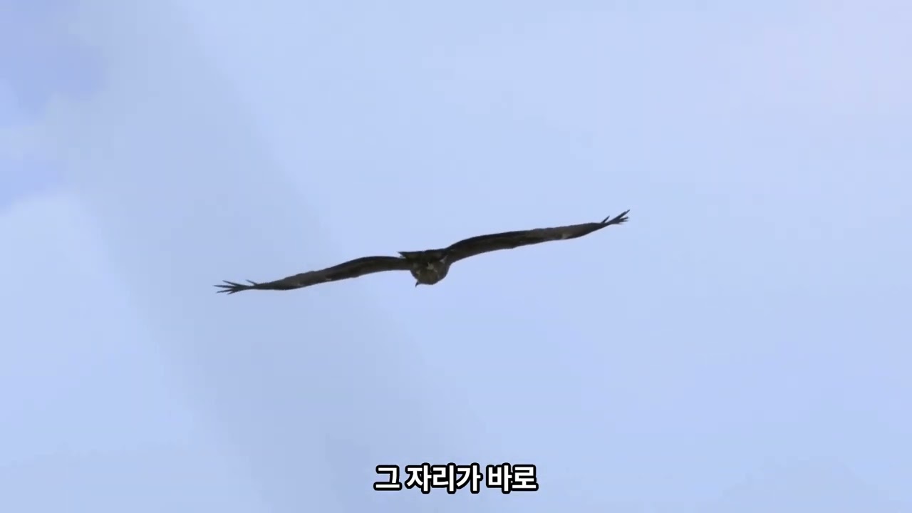 아픈 마음을 치유하고 참된 길을 모색하는 영상 처방전 / # 스트레스 # 해방 # 탈출 # 구원 # 행복 # 내면아이 # 진실 # 가르침