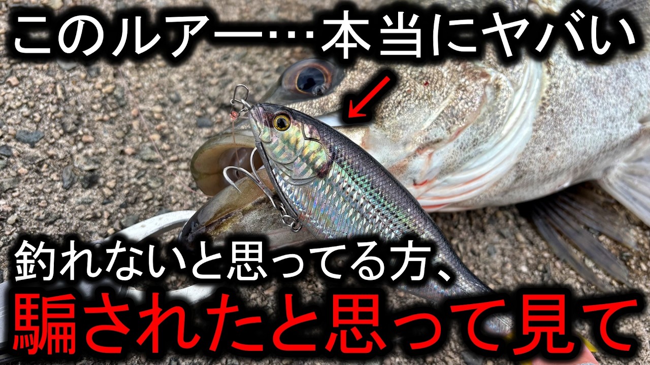 釣り業界の問題作…ダイソービッグベイトが大型魚を簡単に仕留めまくる恐怖映像