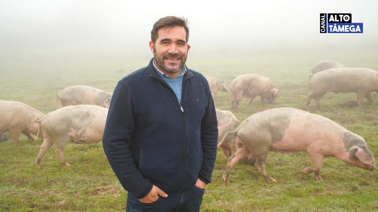 Produtor de Mairos aposta no porco bísaro para valorizar a raça e a economia local