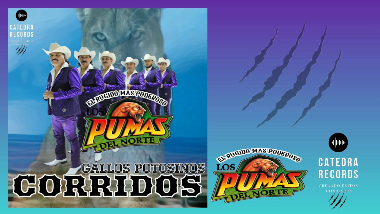 Los Pumas Del Norte Gallos Potosinos Corridos MIX 2021