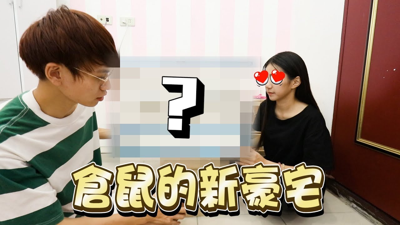 倉鼠們的超狂豪宅，首度曝光！【眾量級CROWD｜倉鼠的日常】