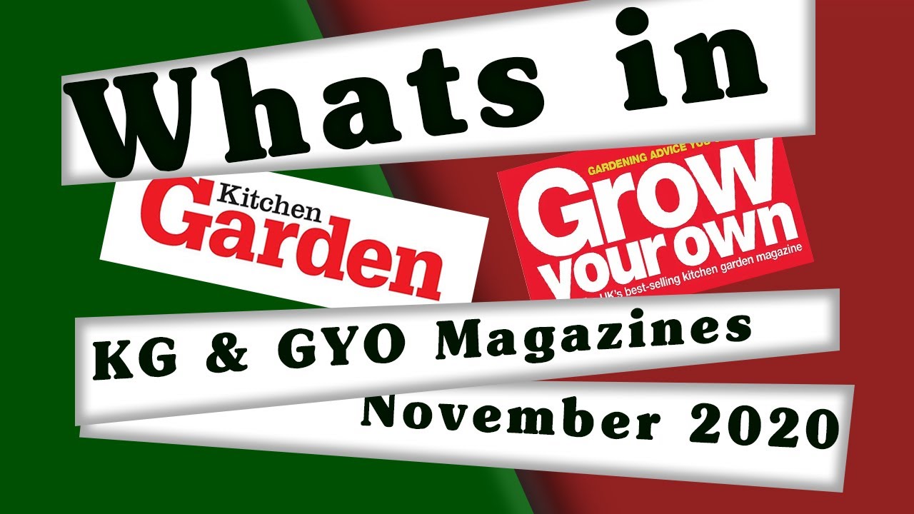 Seed Reveal  Kitchen Garden And Grow Your Own Magazines November 2020