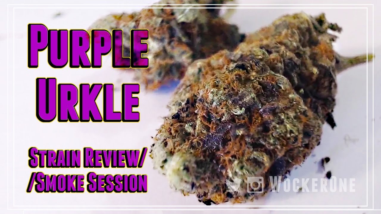 Purple Urkle || Strain Review & Smoke Session
