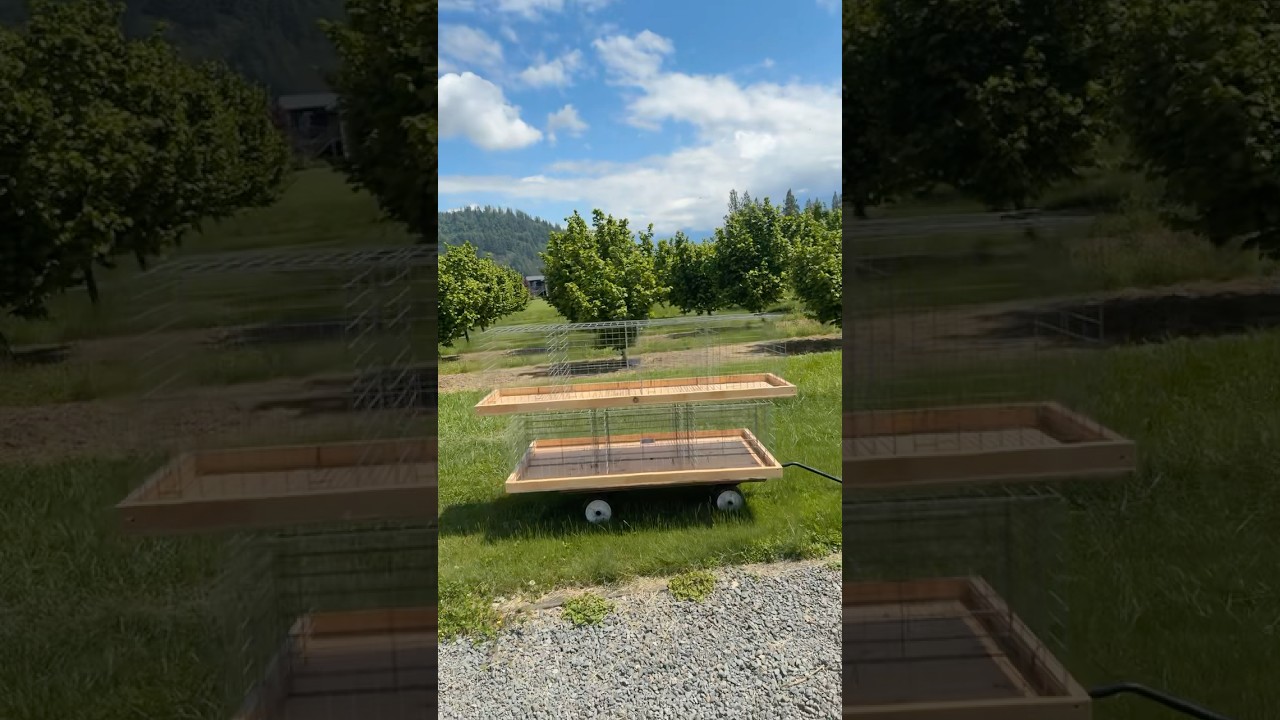Show cage bases. Show cage table. Mobile poultry show cages.  Poultry display cage setup.