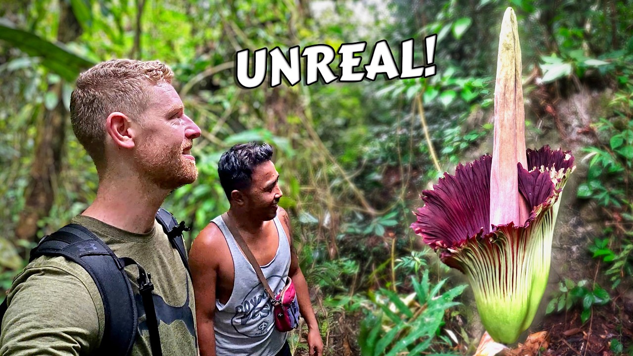 The Jungle Where Flowers Grow to GIANT Sizes