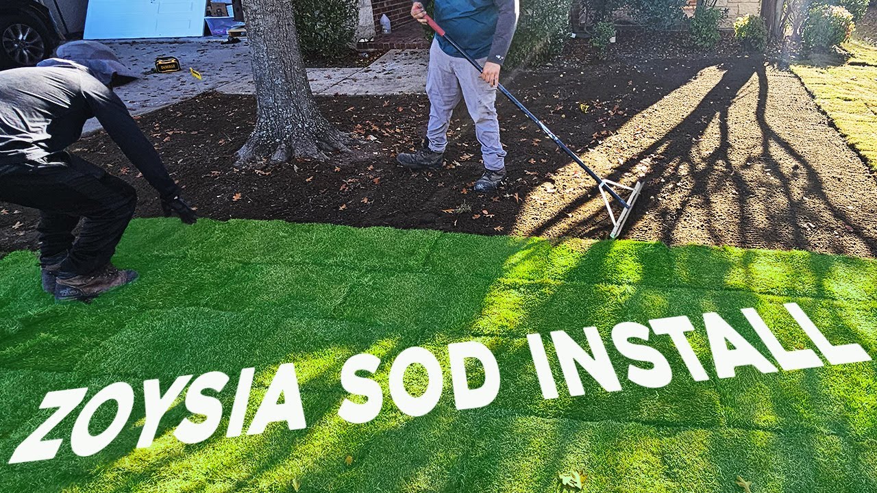 How to install SOD Zoysia Zeon