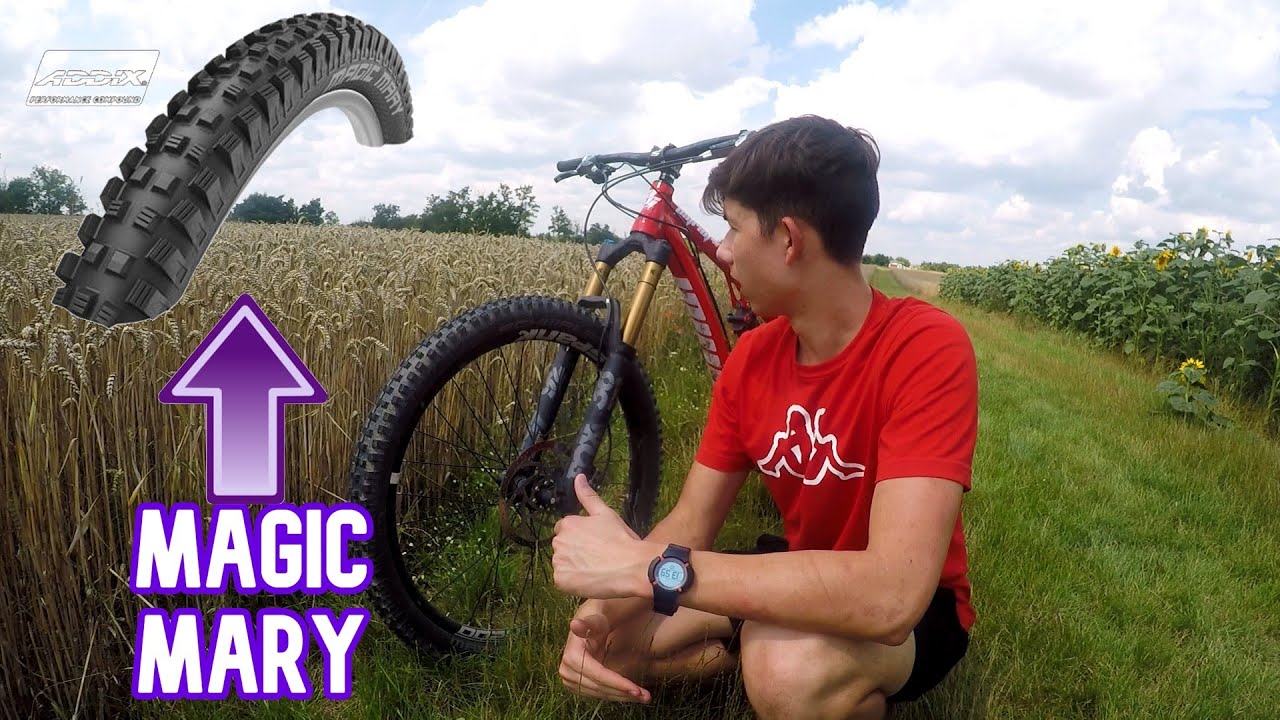 V&Scaron;E, CO POTŘEBUJETE VĚDĚT O PL&Aacute;&Scaron;T&Iacute;CH SCHWALBE MAGIC MARY