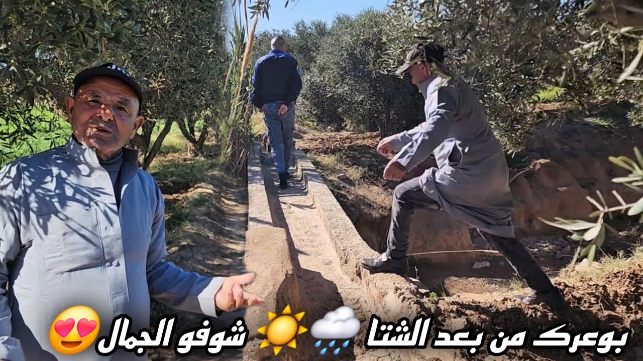 اليوم مشيت أنا وعمي علال لبوعرك 🌧️☀️ باش نشوفو الطبيعة من بعد الشتا… والمرمز فين وصل! 😍🌿