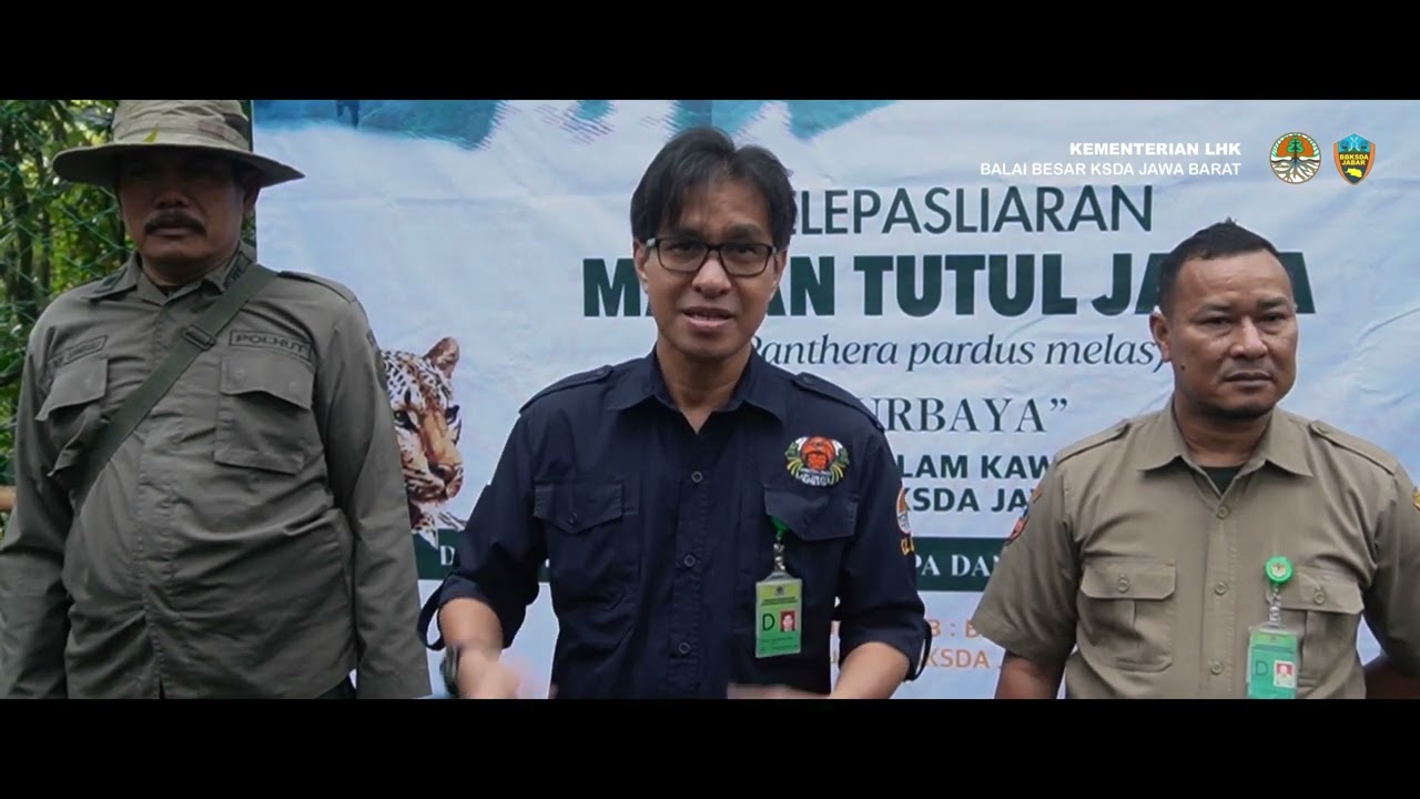 Macan Tutul Jawa 
