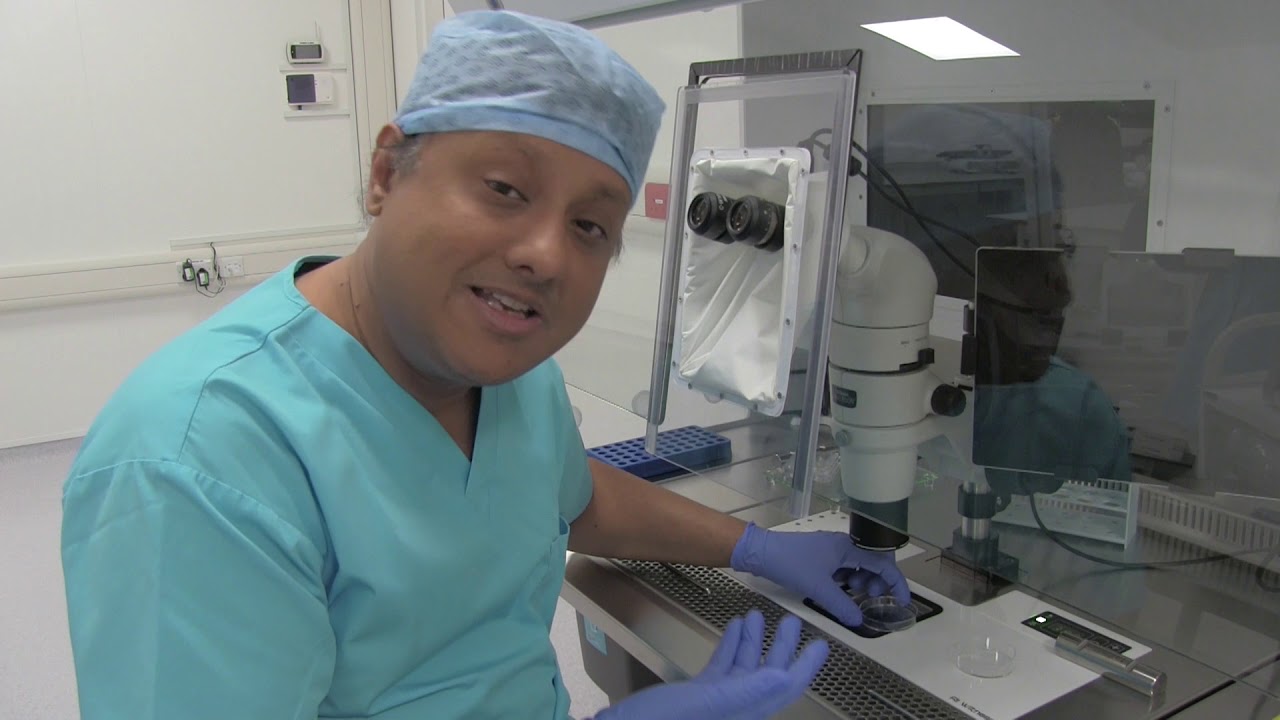 The Egg Collection by the Embryology and PGD Academy
