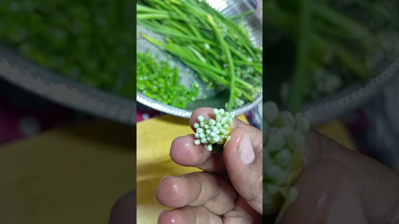 NS family  is live♥️vegetables cutting 