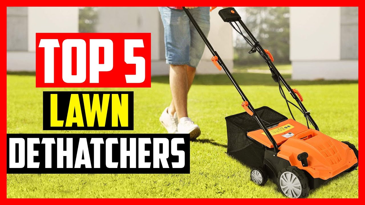 Top 5 Best Lawn Dethatchers in 2024