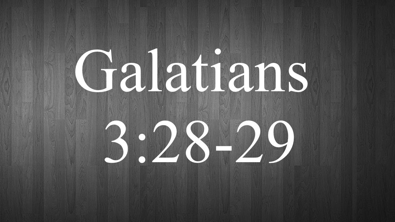 A look at Galatians 3:28-29 | TorahResource