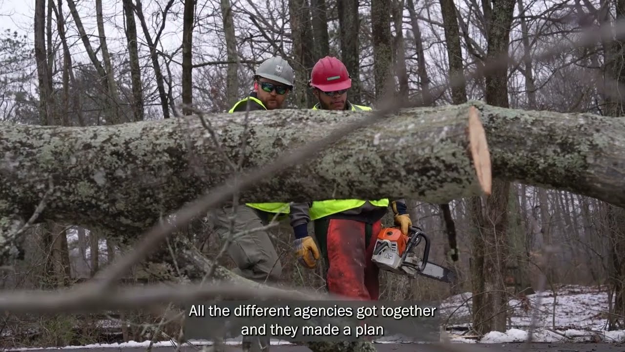 FEMA Partnership Success Story: U.S. Forest Service Clears the Way