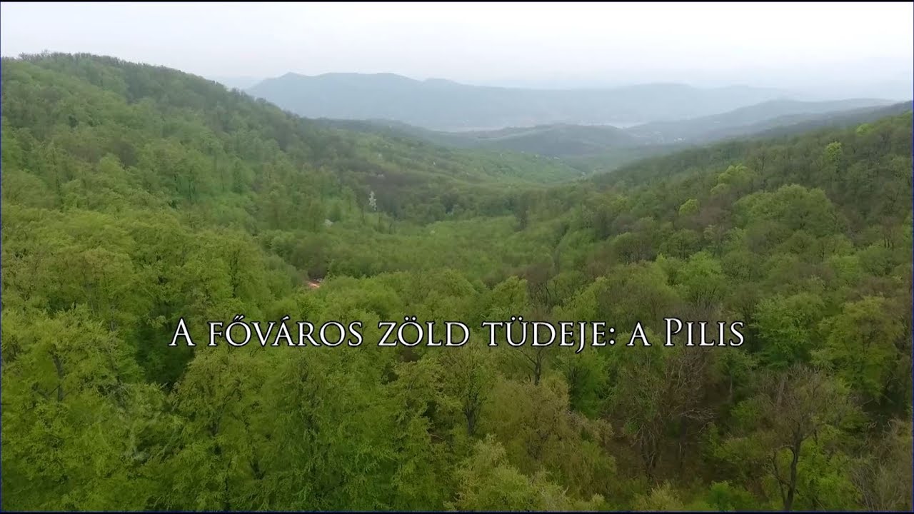 Reviczkyvel az Erdőben - A főváros zöld tüdeje: a Pilis - 2017 - 8/12