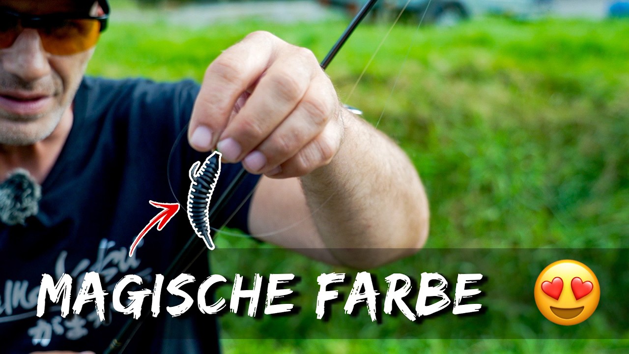 Das ganze Jahr ERFOLGREICH am FORELLENSEE ?!  Forellenangeln leicht gemacht 👍