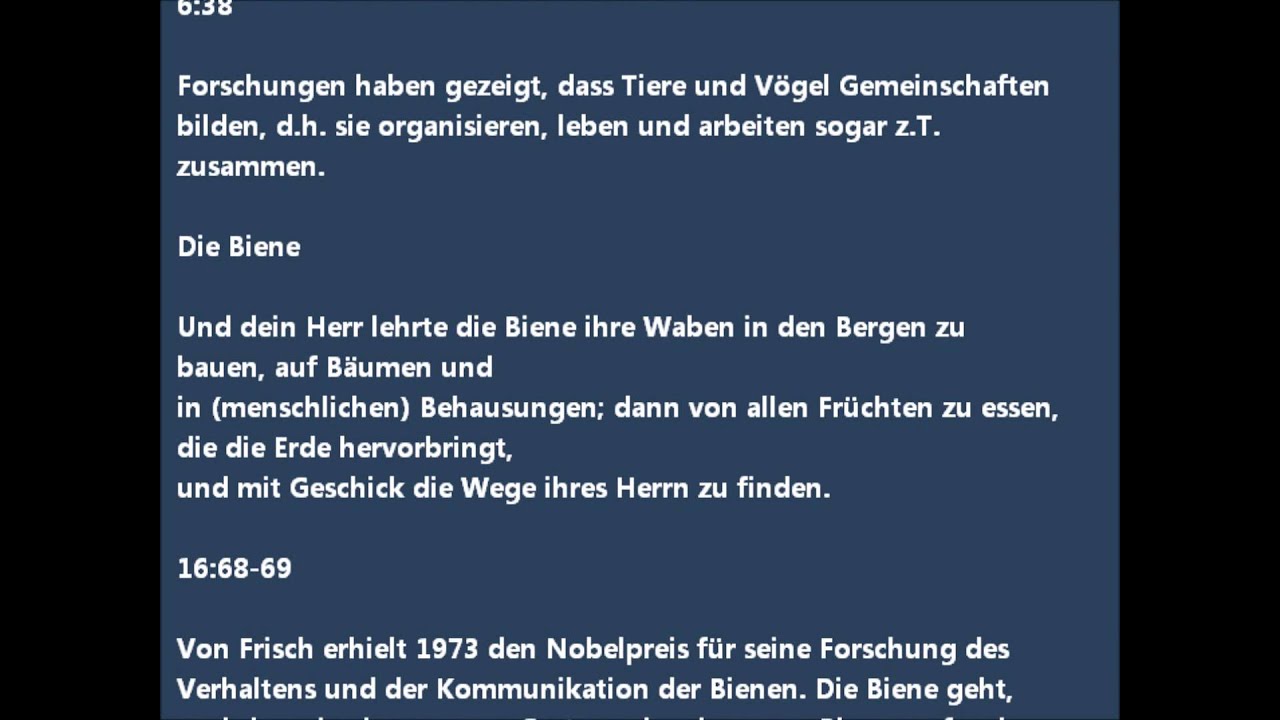 6- Islam und Wissenschaft