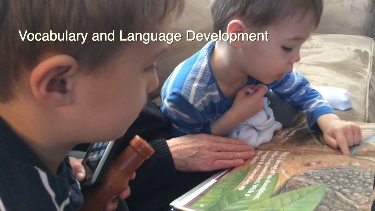 The Power of Reading Picture Books to Young Children
