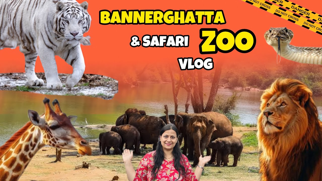 Bannerghatta Zoo || Bannerghatta National Park Bangalore || Bannerghatta Biological Park Safari vlog