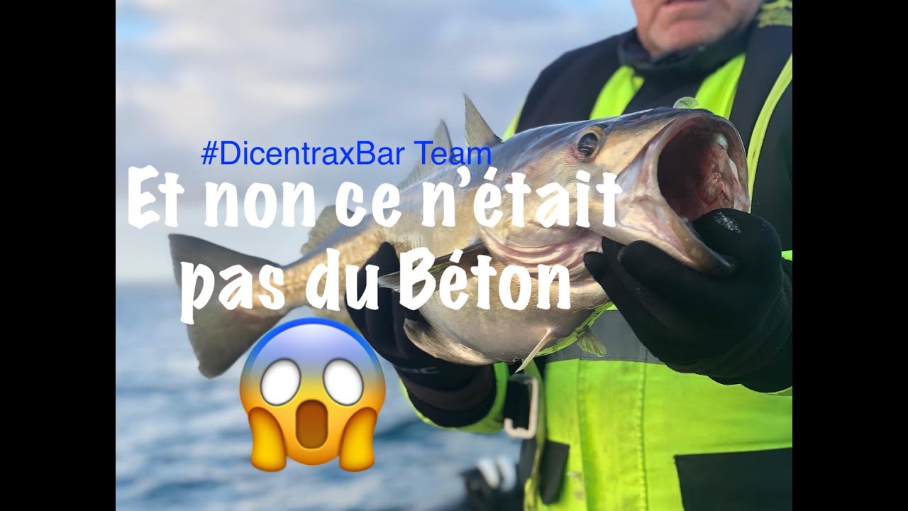 Peche gros lieu - encornet - cotentin - Epave