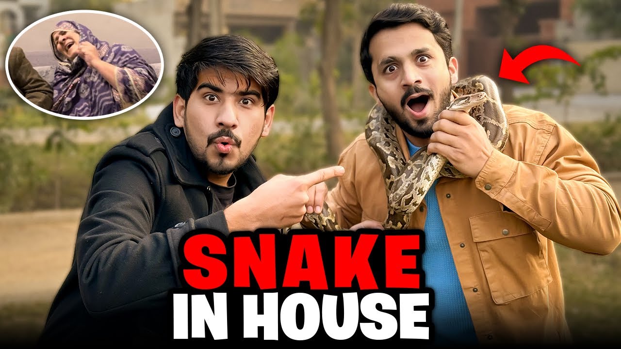 Crazy Fan 7 Feet ka Snake ghar ly aya😱Sb ki buri halat ho gai...☹️