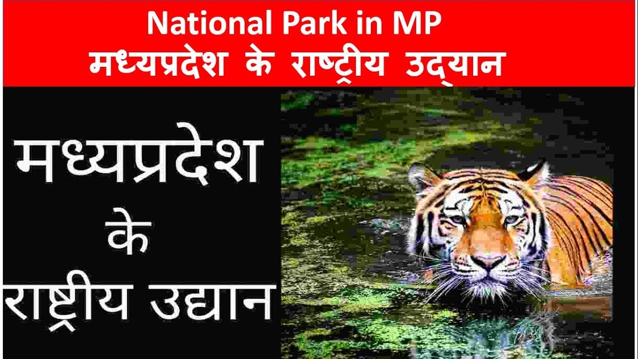 National Park in MP 2023  | मध्यप्रदेश के राष्ट्रीय उद्यान |MP PATWARI |MPPSC & ALL PEB EXAM
