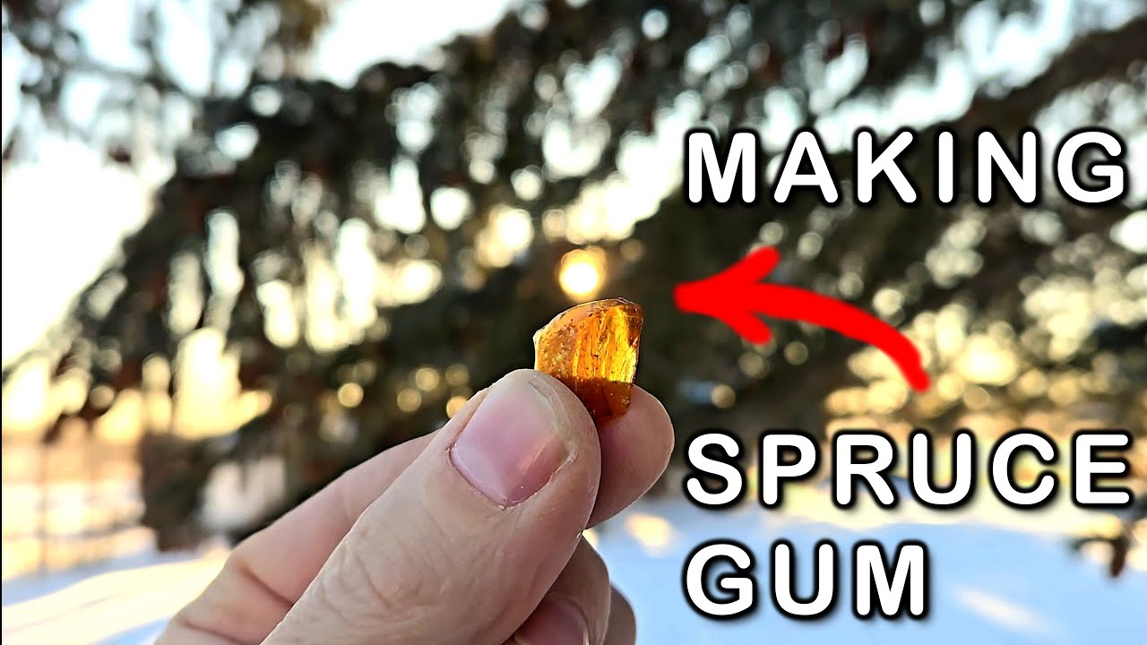 Natural EVERLASTING GUM the BILLION $ GUM Industry Doesn't Want U to Know...