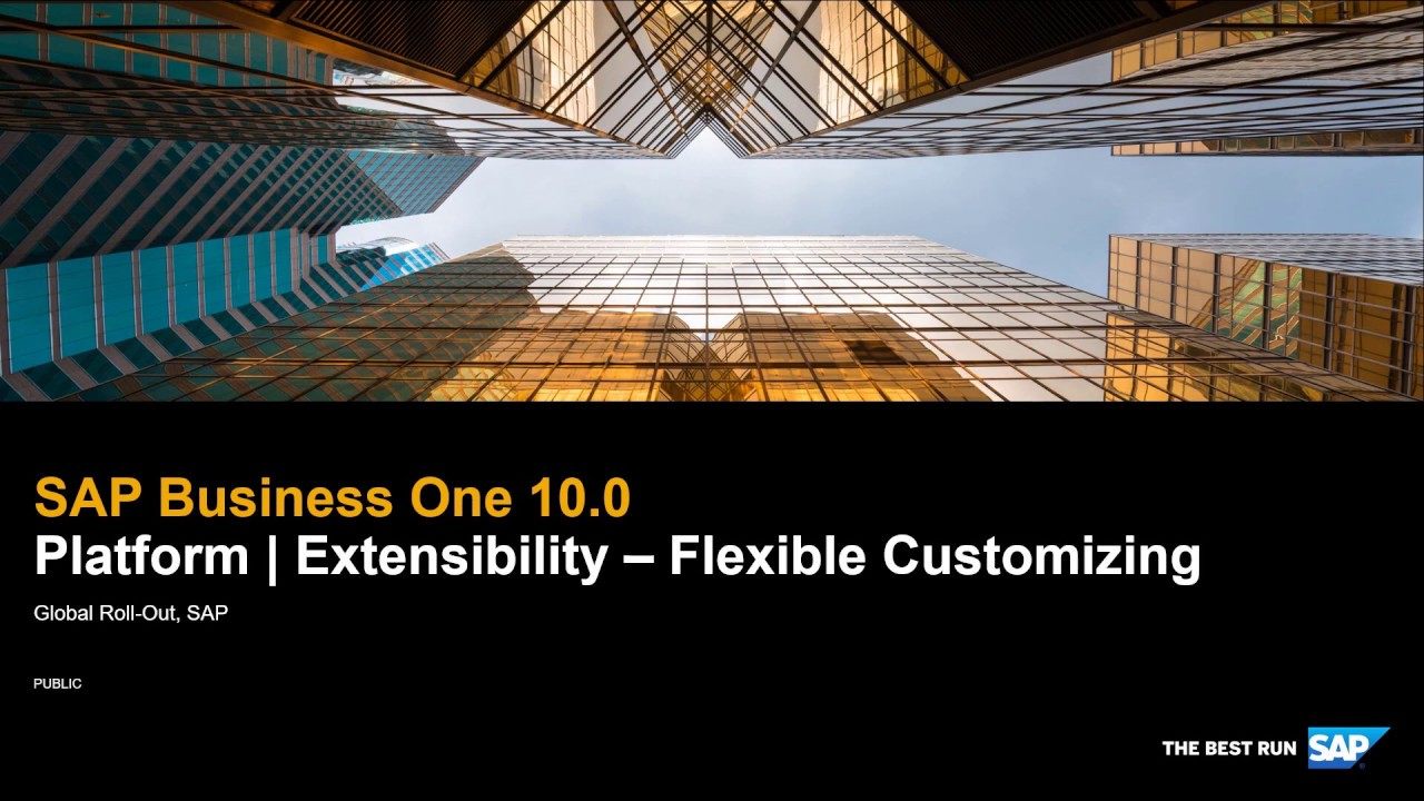 SAP Business One 10.0 - Platform and Extensibility:    Flexible Customizing
