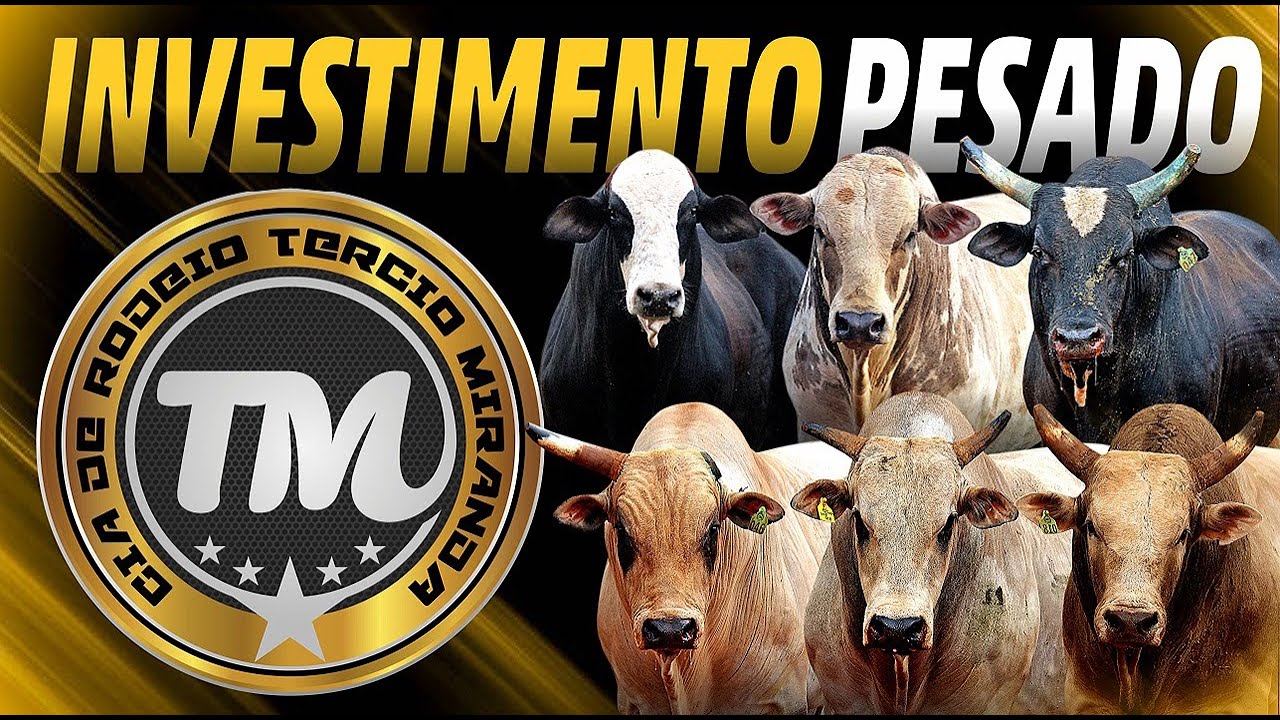 INVESTIMENTO GIGANTESCO em ATLETAS de PULOS  - (Novos Touros da CIA. TERCIO MIRANDA)